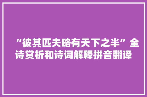 “彼其匹夫略有天下之半”全诗赏析和诗词解释拼音翻译