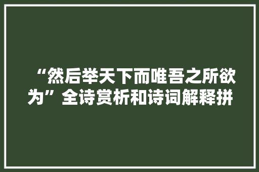 “然后举天下而唯吾之所欲为”全诗赏析和诗词解释拼音翻译