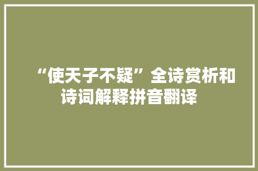 “使天子不疑”全诗赏析和诗词解释拼音翻译