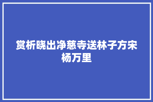 赏析晓出净慈寺送林子方宋杨万里