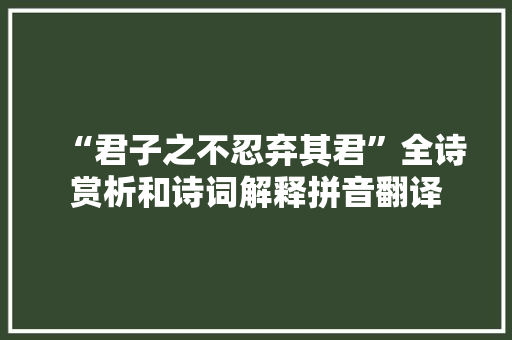 “君子之不忍弃其君”全诗赏析和诗词解释拼音翻译