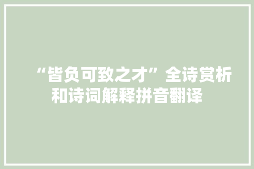 “皆负可致之才”全诗赏析和诗词解释拼音翻译