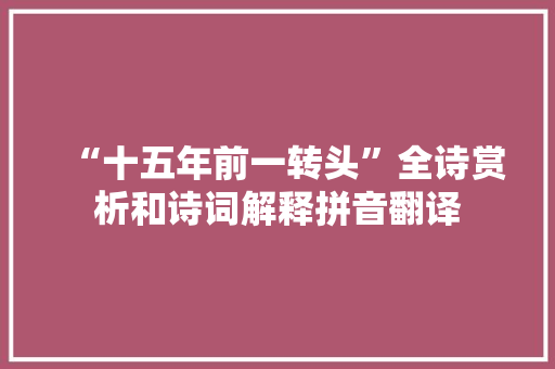 “十五年前一转头”全诗赏析和诗词解释拼音翻译