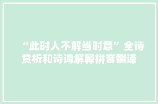 “此时人不解当时意”全诗赏析和诗词解释拼音翻译