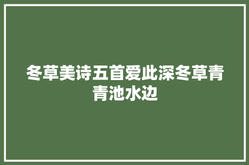 冬草美诗五首爱此深冬草青青池水边