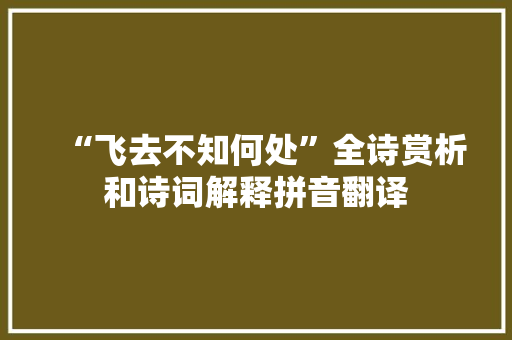 “飞去不知何处”全诗赏析和诗词解释拼音翻译