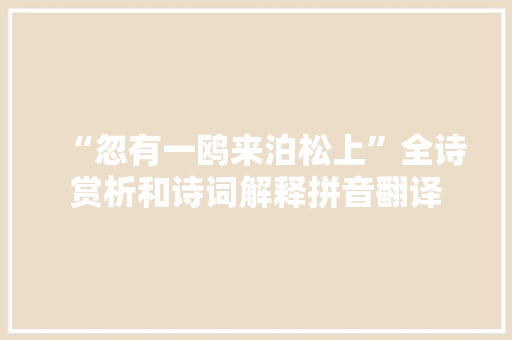 “忽有一鸥来泊松上”全诗赏析和诗词解释拼音翻译