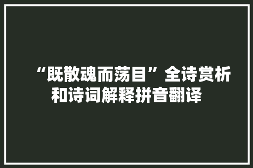 “既散魂而荡目”全诗赏析和诗词解释拼音翻译