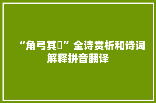 “角弓其觩”全诗赏析和诗词解释拼音翻译