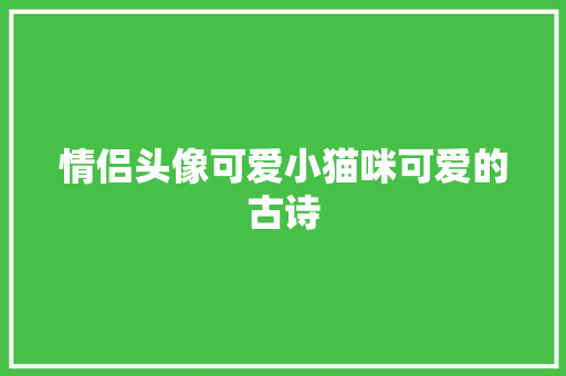 情侣头像可爱小猫咪可爱的古诗