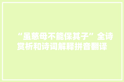 “虽慈母不能保其子”全诗赏析和诗词解释拼音翻译