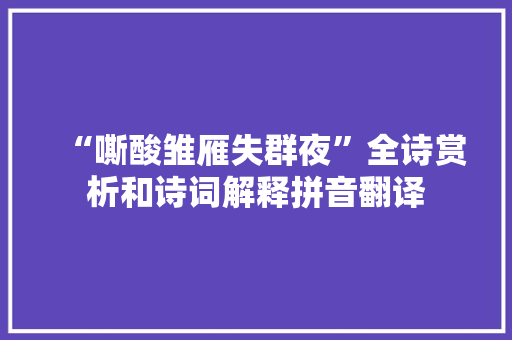 “嘶酸雏雁失群夜”全诗赏析和诗词解释拼音翻译