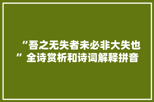 “吾之无失者未必非大失也”全诗赏析和诗词解释拼音翻译