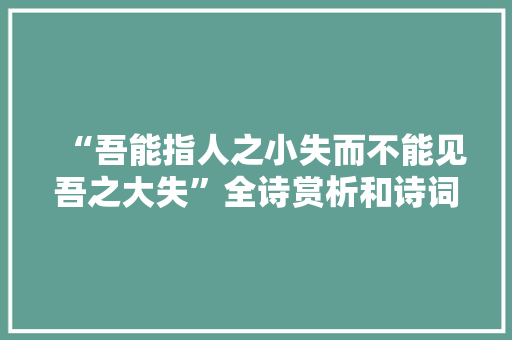 “吾能指人之小失而不能见吾之大失”全诗赏析和诗词解释拼音翻译