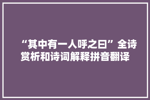 “其中有一人呼之曰”全诗赏析和诗词解释拼音翻译