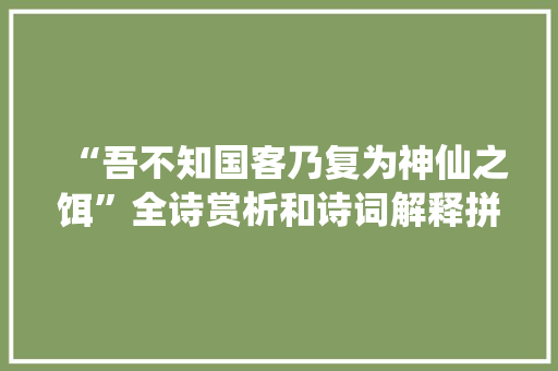 “吾不知国客乃复为神仙之饵”全诗赏析和诗词解释拼音翻译