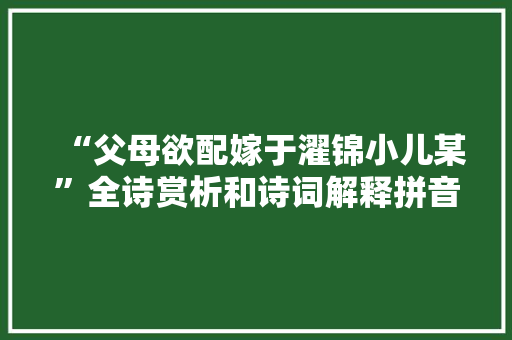 “父母欲配嫁于濯锦小儿某”全诗赏析和诗词解释拼音翻译