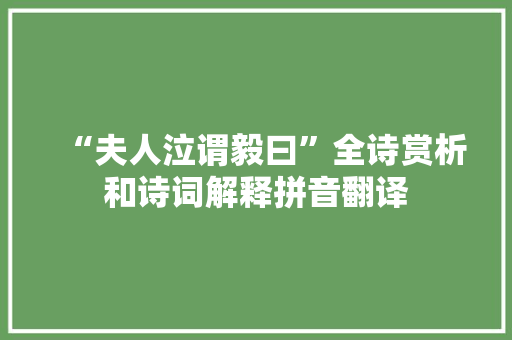 “夫人泣谓毅曰”全诗赏析和诗词解释拼音翻译