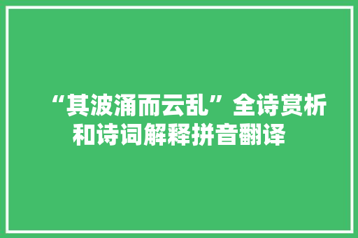 “其波涌而云乱”全诗赏析和诗词解释拼音翻译