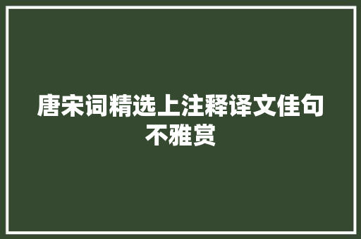 唐宋词精选上注释译文佳句不雅赏