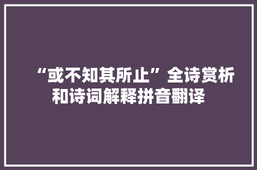 “或不知其所止”全诗赏析和诗词解释拼音翻译
