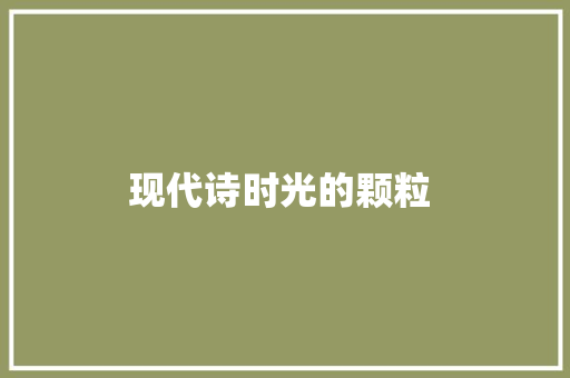 现代诗时光的颗粒 