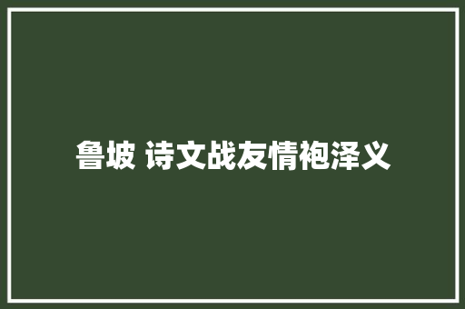 鲁坡 诗文战友情袍泽义