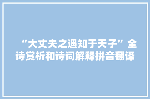 “大丈夫之遇知于天子”全诗赏析和诗词解释拼音翻译