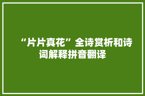 “片片真花”全诗赏析和诗词解释拼音翻译