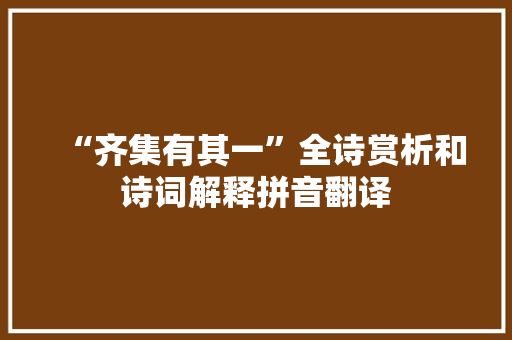 “齐集有其一”全诗赏析和诗词解释拼音翻译
