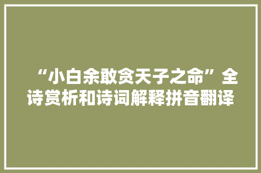 “小白余敢贪天子之命”全诗赏析和诗词解释拼音翻译