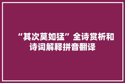 “其次莫如猛”全诗赏析和诗词解释拼音翻译