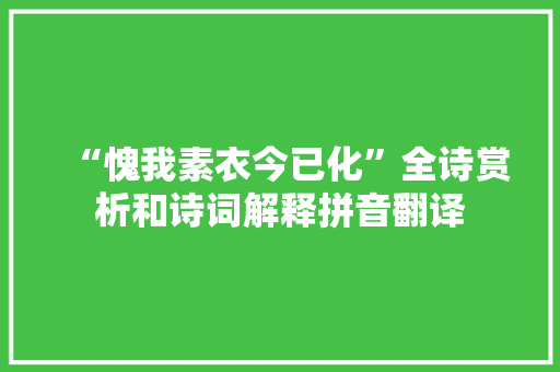 “愧我素衣今已化”全诗赏析和诗词解释拼音翻译