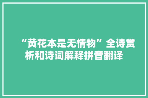 “黄花本是无情物”全诗赏析和诗词解释拼音翻译