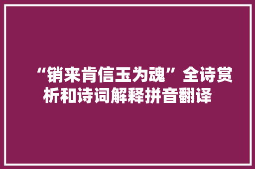 “销来肯信玉为魂”全诗赏析和诗词解释拼音翻译