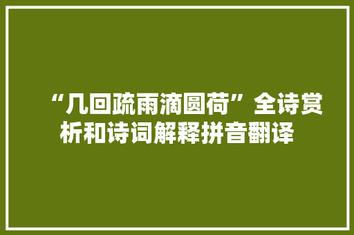 “几回疏雨滴圆荷”全诗赏析和诗词解释拼音翻译