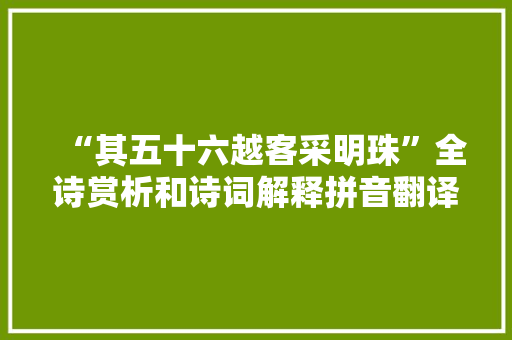 “其五十六越客采明珠”全诗赏析和诗词解释拼音翻译