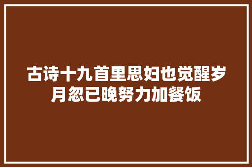 古诗十九首里思妇也觉醒岁月忽已晚努力加餐饭