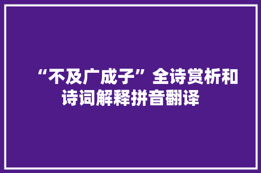 “不及广成子”全诗赏析和诗词解释拼音翻译