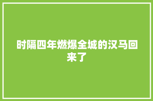 时隔四年燃爆全城的汉马回来了