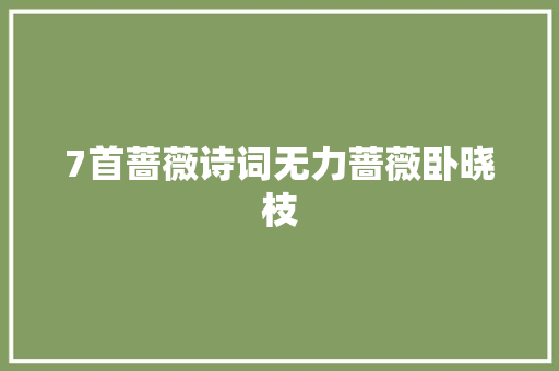 7首蔷薇诗词无力蔷薇卧晓枝