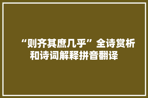 “则齐其庶几乎”全诗赏析和诗词解释拼音翻译