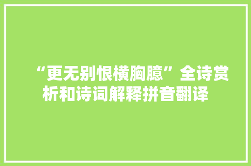 “更无别恨横胸臆”全诗赏析和诗词解释拼音翻译