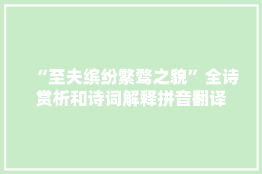 “至夫缤纷繁骛之貌”全诗赏析和诗词解释拼音翻译
