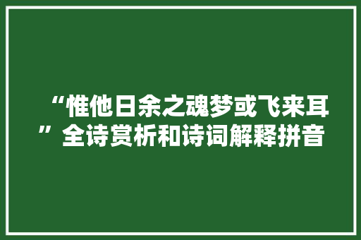 “惟他日余之魂梦或飞来耳”全诗赏析和诗词解释拼音翻译
