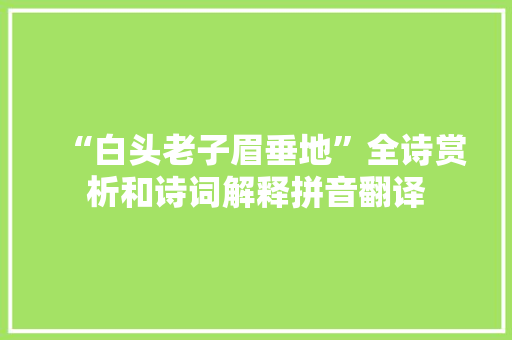 “白头老子眉垂地”全诗赏析和诗词解释拼音翻译