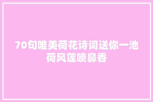70句唯美荷花诗词送你一池荷风莲喷鼻香