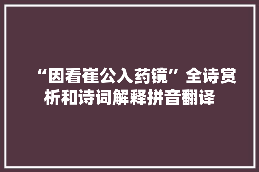 “因看崔公入药镜”全诗赏析和诗词解释拼音翻译