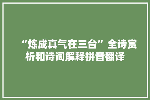 “炼成真气在三台”全诗赏析和诗词解释拼音翻译