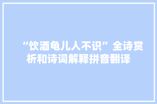 “饮酒龟儿人不识”全诗赏析和诗词解释拼音翻译